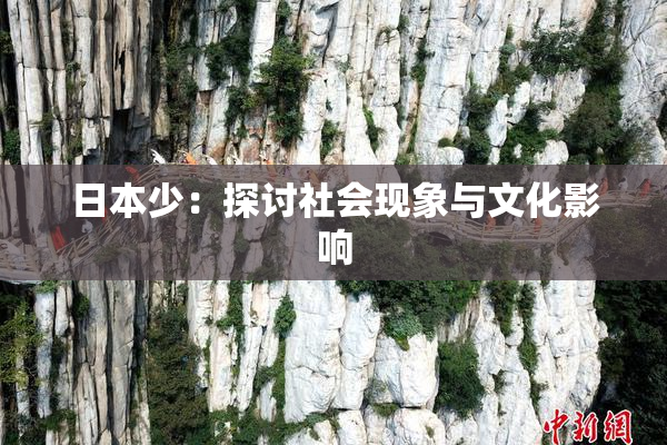 日本少：探讨社会现象与文化影响
