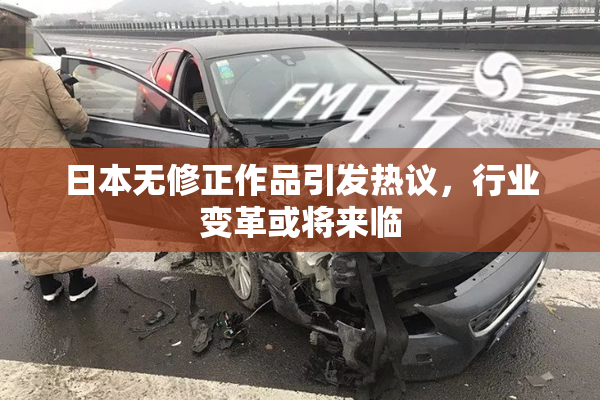 日本无修正作品引发热议，行业变革或将来临