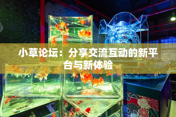 小草论坛：分享交流互动的新平台与新体验
