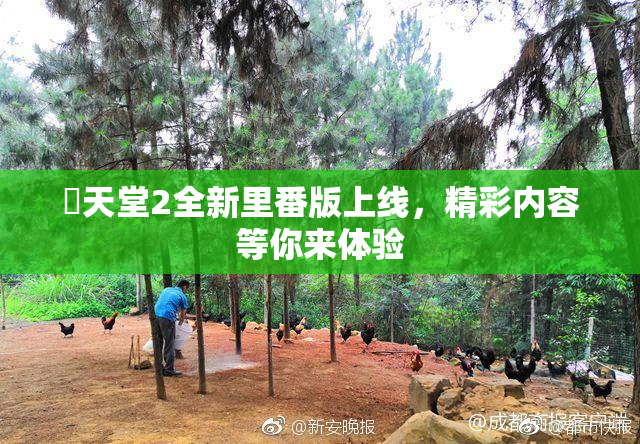 妺天堂2全新里番版上线，精彩内容等你来体验