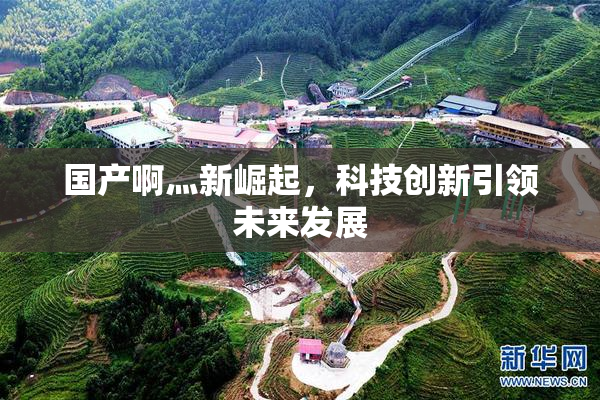 国产啊灬新崛起，科技创新引领未来发展