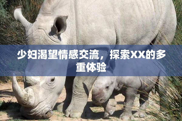 少妇渴望情感交流，探索XX的多重体验