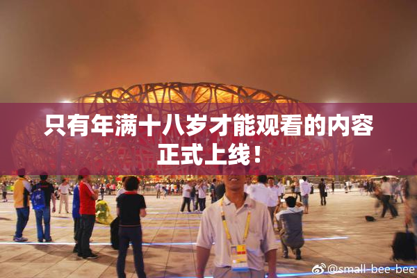 只有年满十八岁才能观看的内容正式上线！