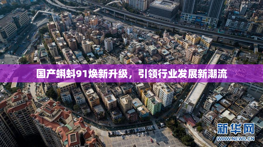 国产蝌蚪91焕新升级，引领行业发展新潮流
