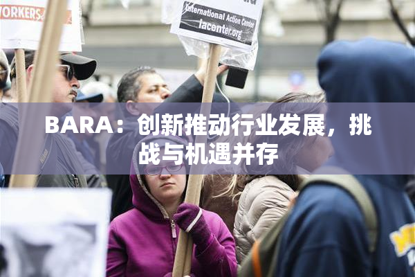 BARA：创新推动行业发展，挑战与机遇并存