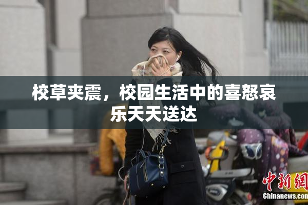 校草夹震，校园生活中的喜怒哀乐天天送达