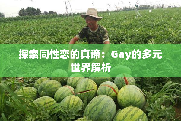 探索同性恋的真谛：Gay的多元世界解析