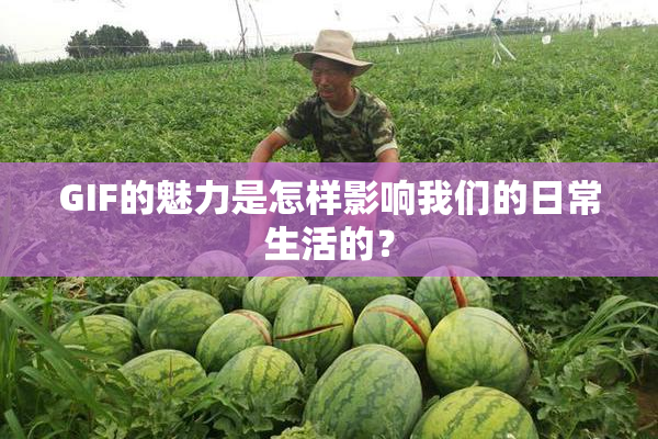 GIF的魅力是怎样影响我们的日常生活的？
