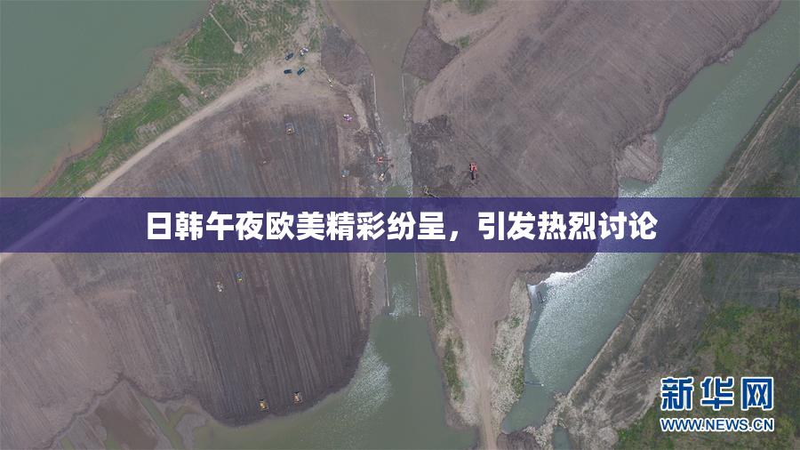 日韩午夜欧美精彩纷呈，引发热烈讨论