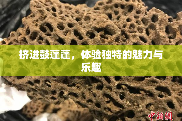 挤进鼓蓬蓬，体验独特的魅力与乐趣