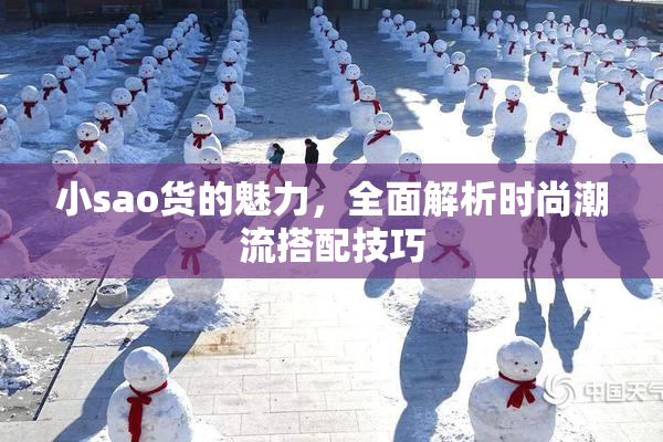 小sao货的魅力，全面解析时尚潮流搭配技巧