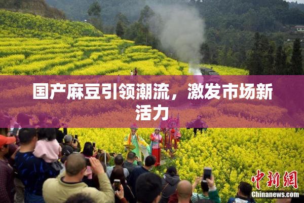 国产麻豆引领潮流，激发市场新活力