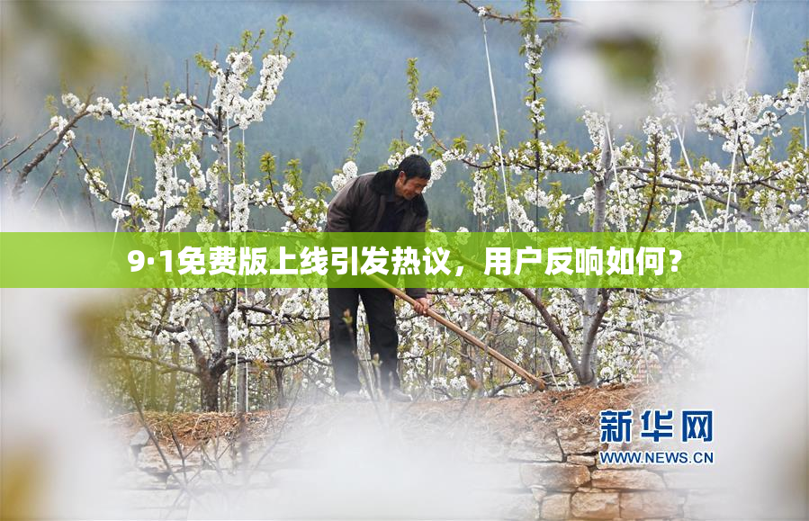 9·1免费版上线引发热议，用户反响如何？