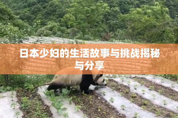 日本少妇的生活故事与挑战揭秘与分享