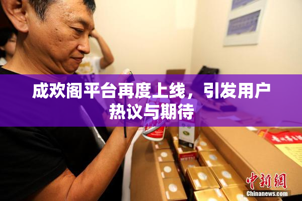 成欢阁平台再度上线，引发用户热议与期待