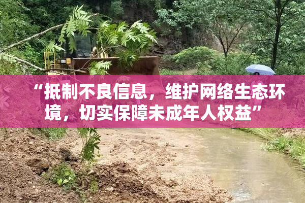 “抵制不良信息，维护网络生态环境，切实保障未成年人权益”