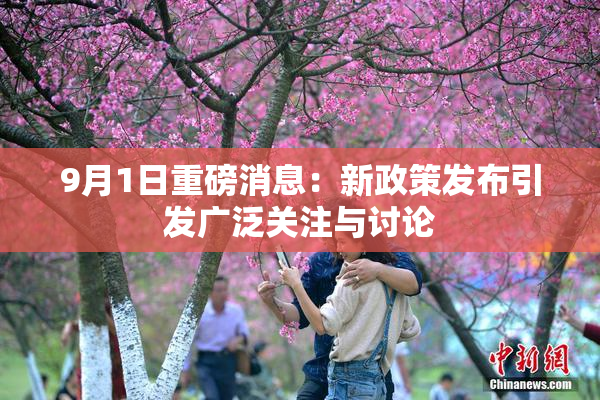 9月1日重磅消息：新政策发布引发广泛关注与讨论