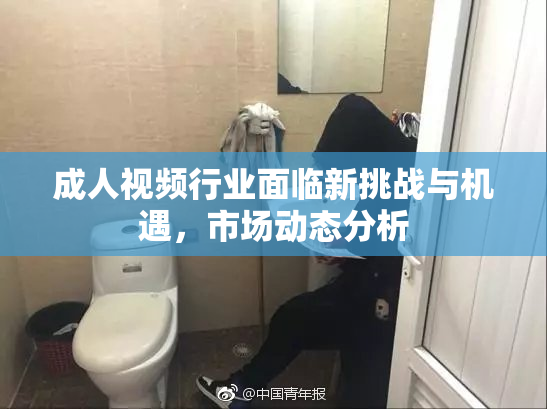 成人视频行业面临新挑战与机遇，市场动态分析