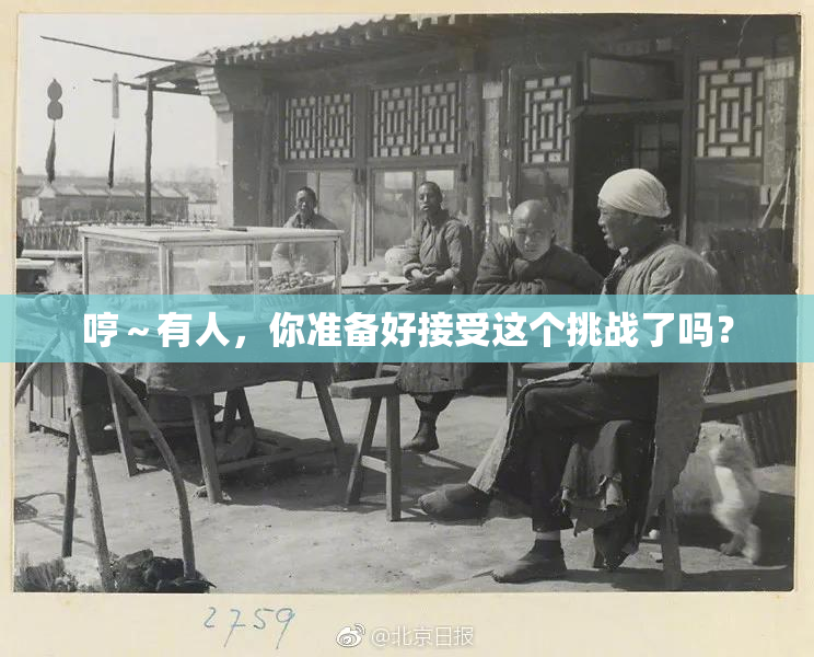 哼～有人，你准备好接受这个挑战了吗？