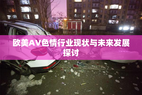 欧美AV色情行业现状与未来发展探讨