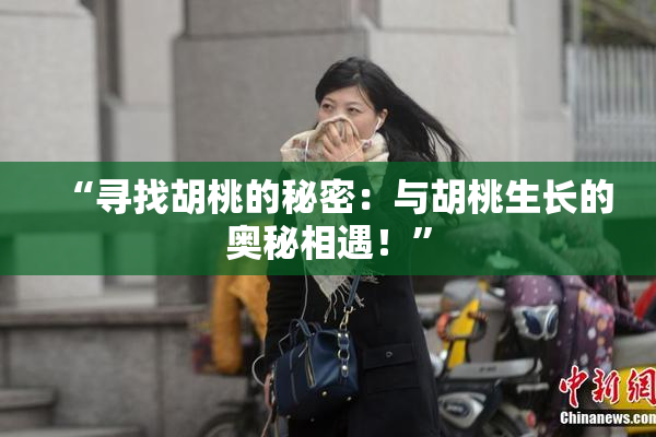 “寻找胡桃的秘密：与胡桃生长的奥秘相遇！”