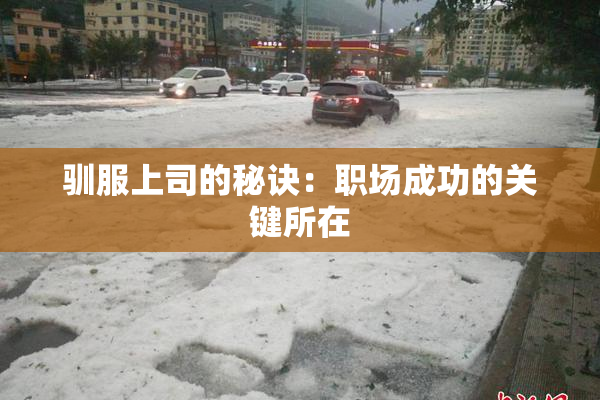 驯服上司的秘诀：职场成功的关键所在