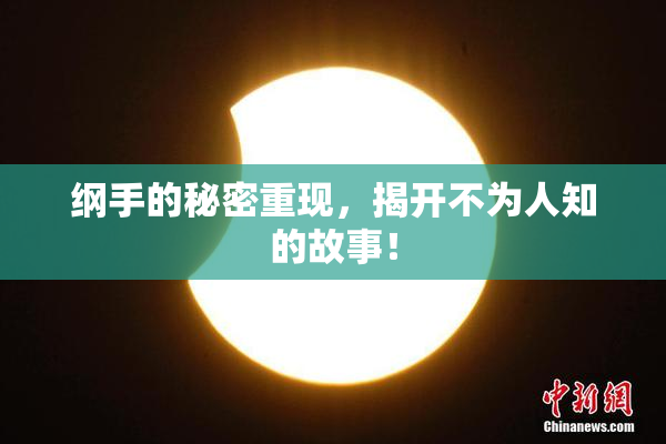 纲手的秘密重现，揭开不为人知的故事！