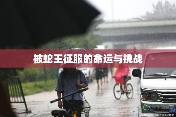 被蛇王征服的命运与挑战