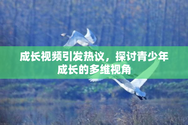成长视频引发热议，探讨青少年成长的多维视角