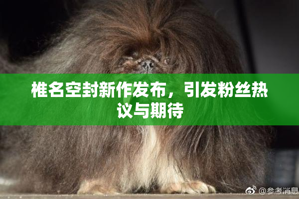 椎名空封新作发布，引发粉丝热议与期待
