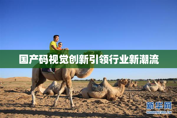 国产码视觉创新引领行业新潮流