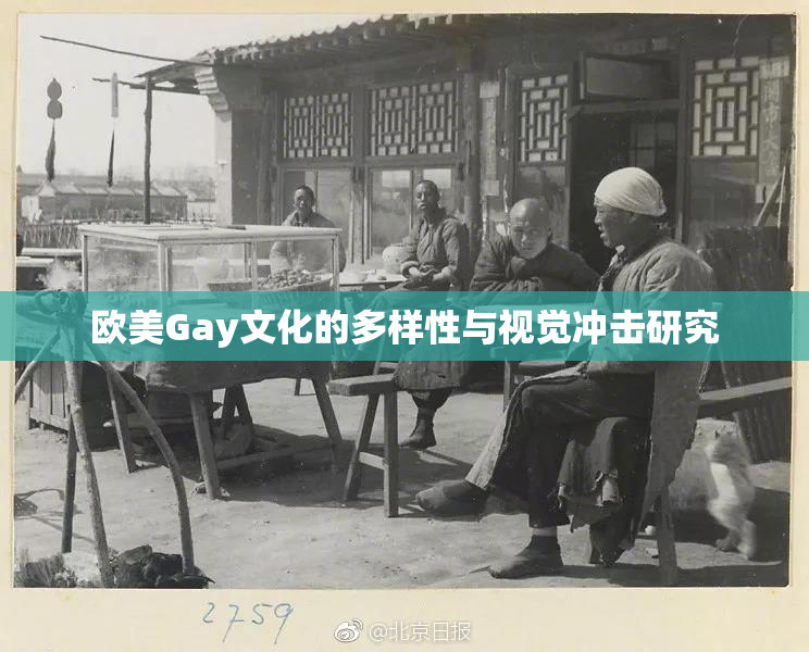 欧美Gay文化的多样性与视觉冲击研究