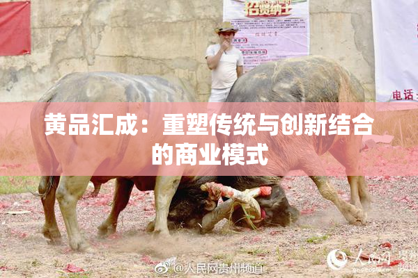 黄品汇成：重塑传统与创新结合的商业模式