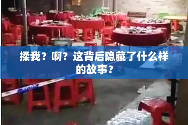 揉我？啊？这背后隐藏了什么样的故事？