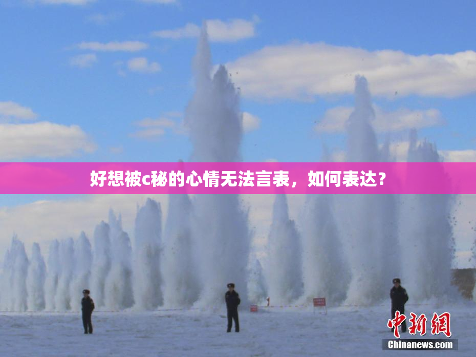 好想被c秘的心情无法言表，如何表达？