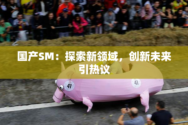 国产SM：探索新领域，创新未来引热议