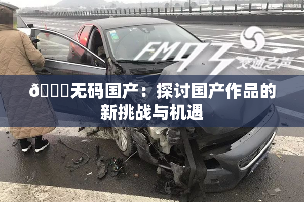 🔞无码国产：探讨国产作品的新挑战与机遇