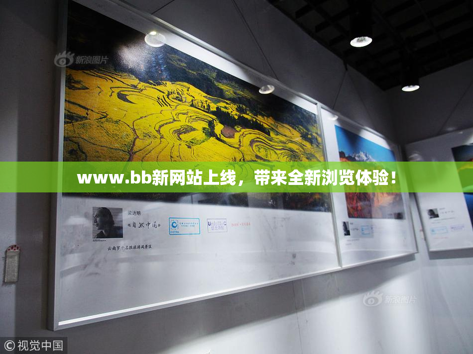 www.bb新网站上线，带来全新浏览体验！
