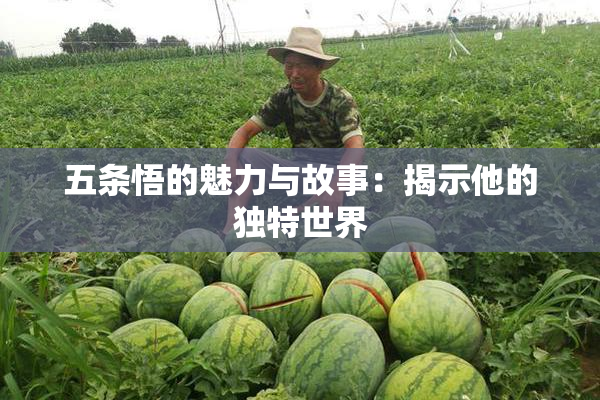 五条悟的魅力与故事：揭示他的独特世界