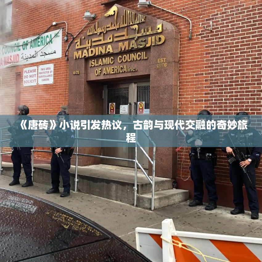 《唐砖》小说引发热议，古韵与现代交融的奇妙旅程