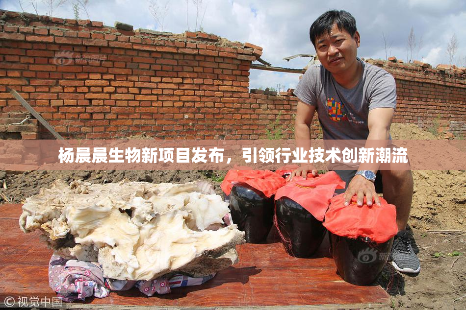 杨晨晨生物新项目发布，引领行业技术创新潮流