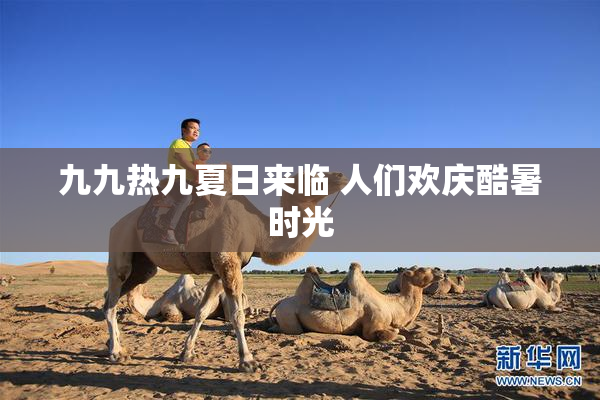九九热九夏日来临 人们欢庆酷暑时光