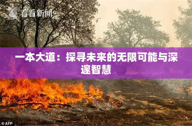 一本大道：探寻未来的无限可能与深邃智慧