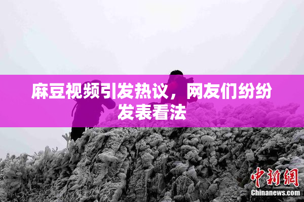 麻豆视频引发热议，网友们纷纷发表看法