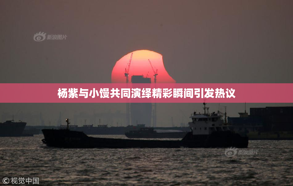 杨紫与小馒共同演绎精彩瞬间引发热议