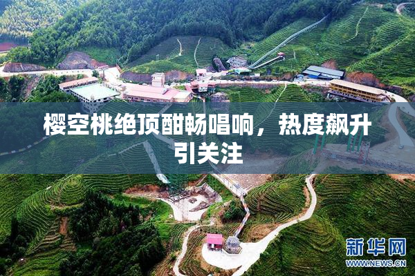 樱空桃绝顶酣畅唱响，热度飙升引关注