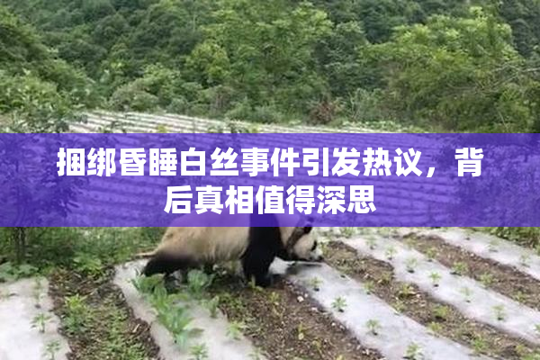 捆绑昏睡白丝事件引发热议，背后真相值得深思