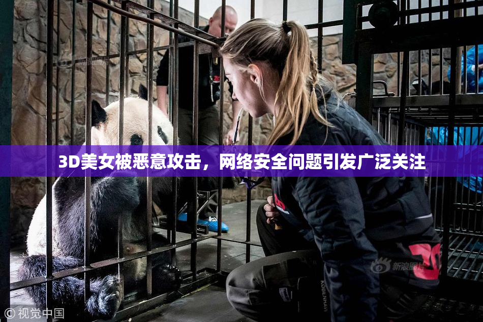 3D美女被恶意攻击，网络安全问题引发广泛关注