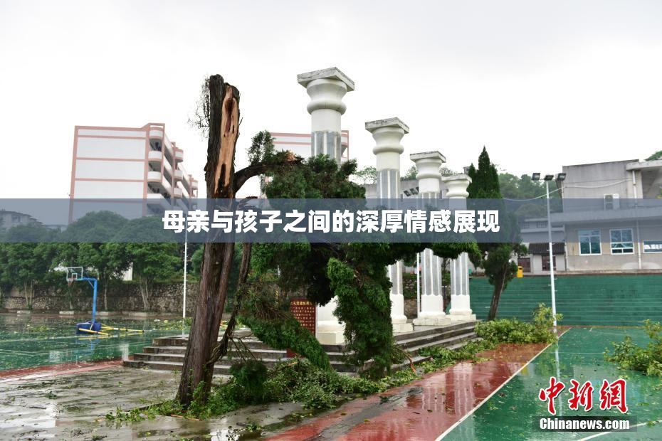 母亲与孩子之间的深厚情感展现