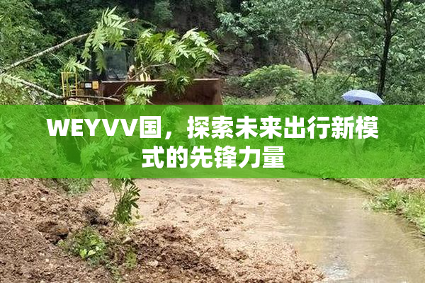 WEYVV国，探索未来出行新模式的先锋力量